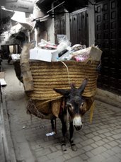 ane Faut il vraiment travailler dur ?